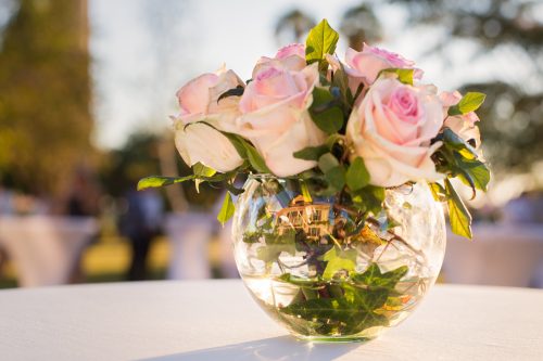photographe landes, photographe dax, photographe mariage landes, photographe mariage dax