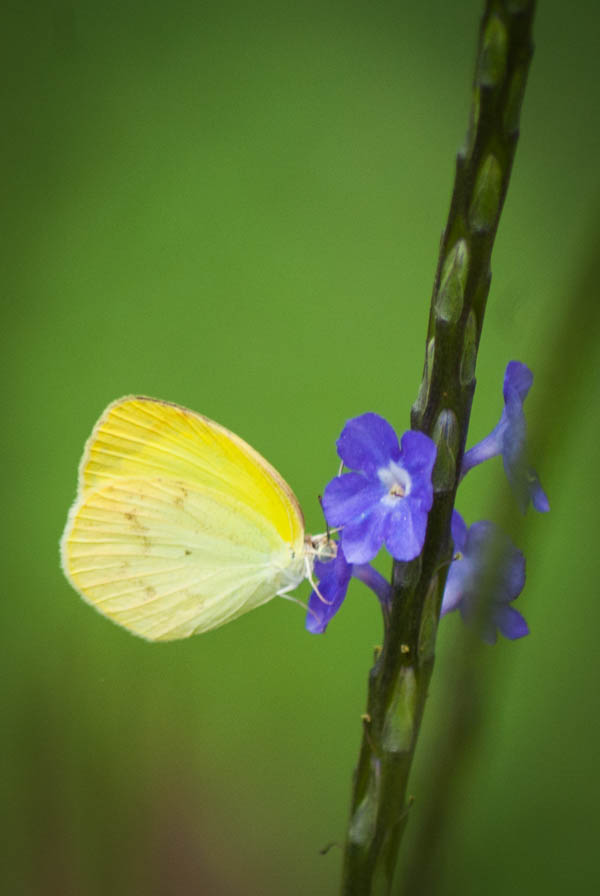 photographe landes, photographe dax