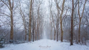 photographe dax-etang-abesse-landes-professionnel