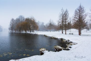 photographe dax-lac-christus-paysage